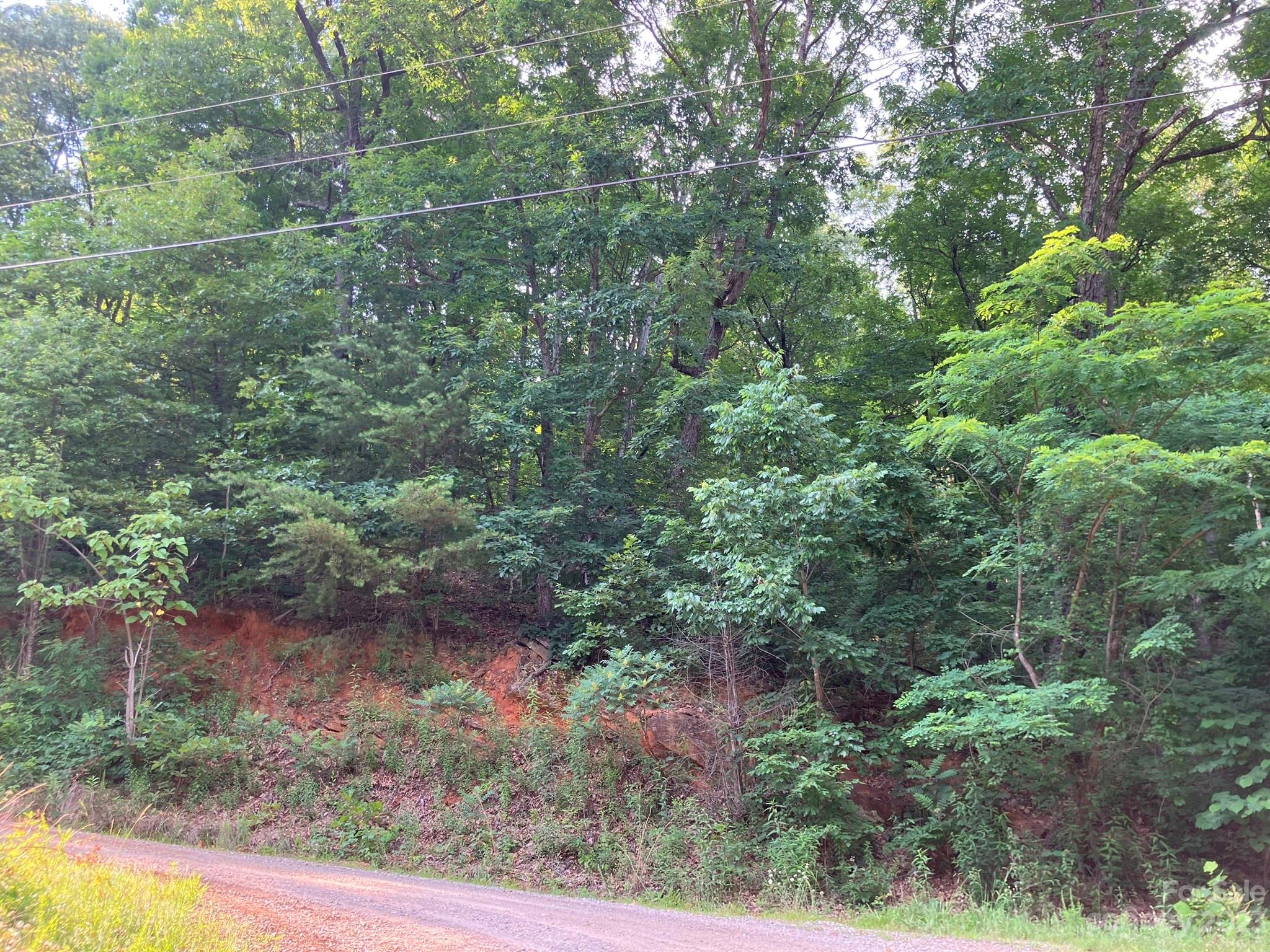 00 Roberts Trail LOT 454