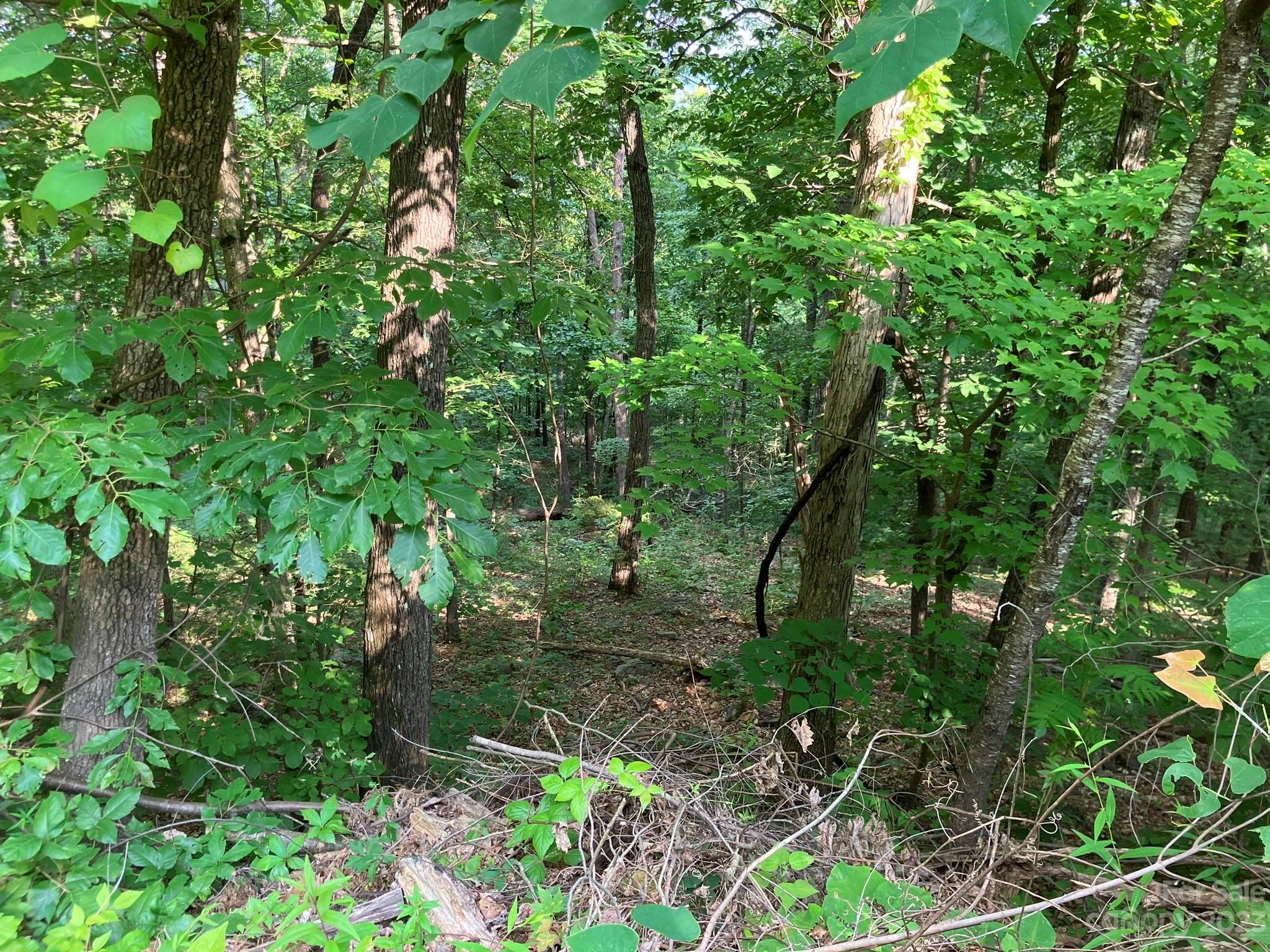 00 Roberts Trail LOT 454