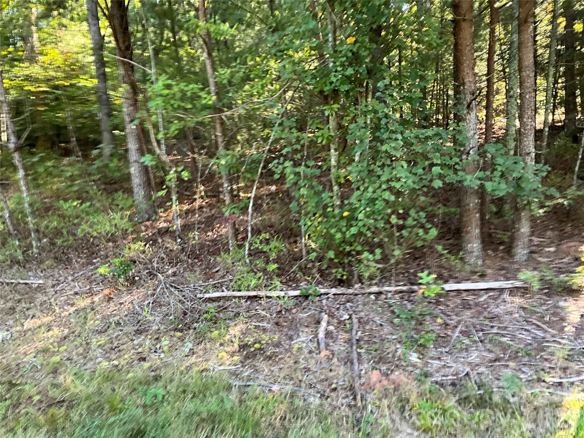 4.63 acres Jessie Mays Lane