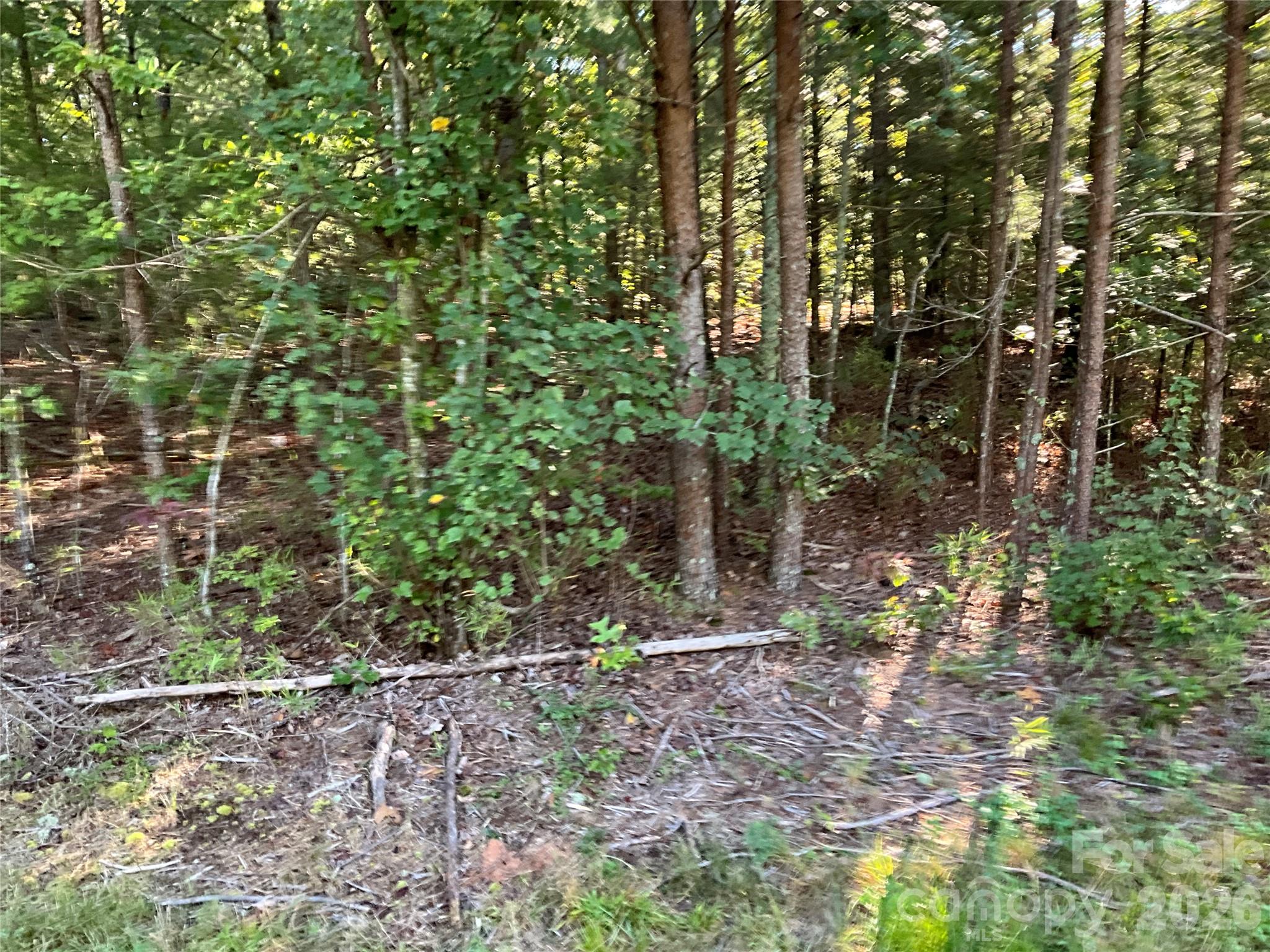 4.63 acres Jessie Mays Lane