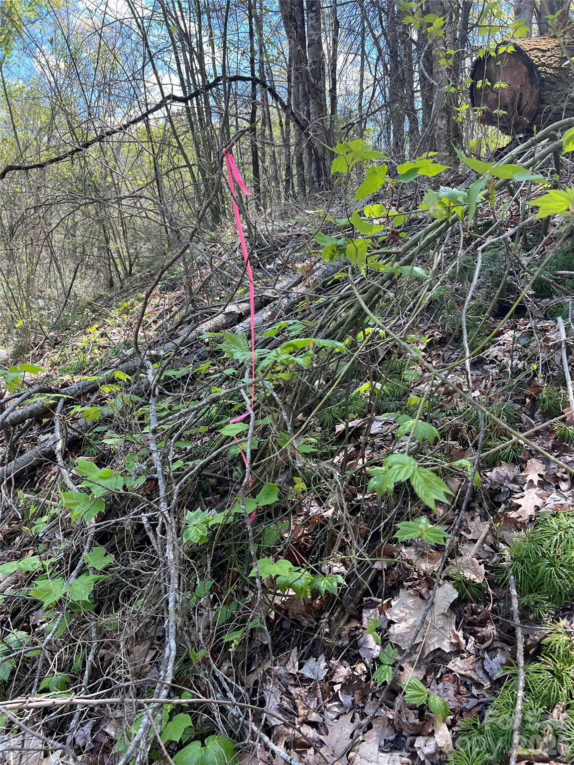 Westerly Hills - Land