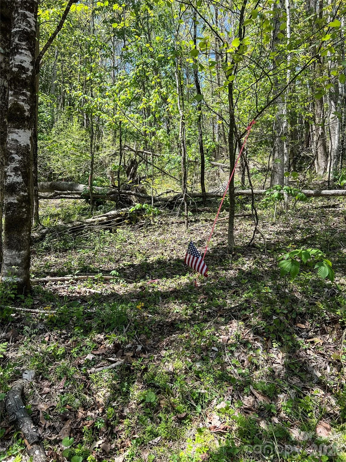 Lot# 34 Buckeye Creek Road Unit 34, Beech Mountain, NC, 28622