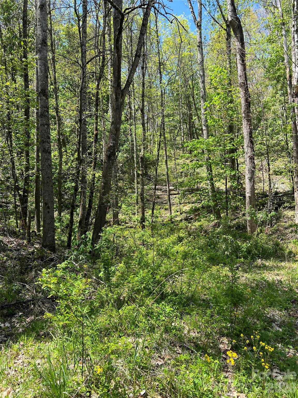 Westerly Hills - Land