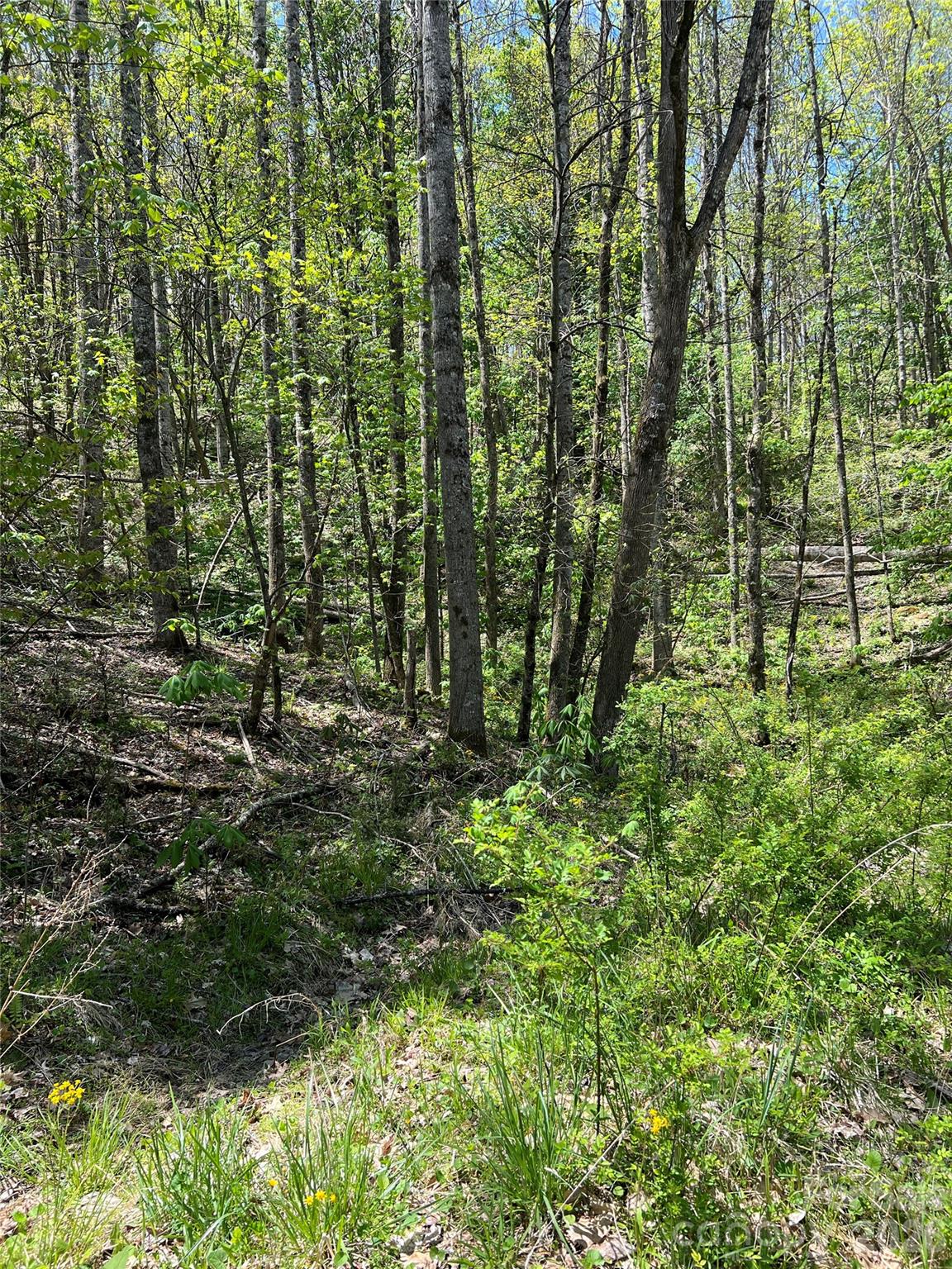 Westerly Hills - Land