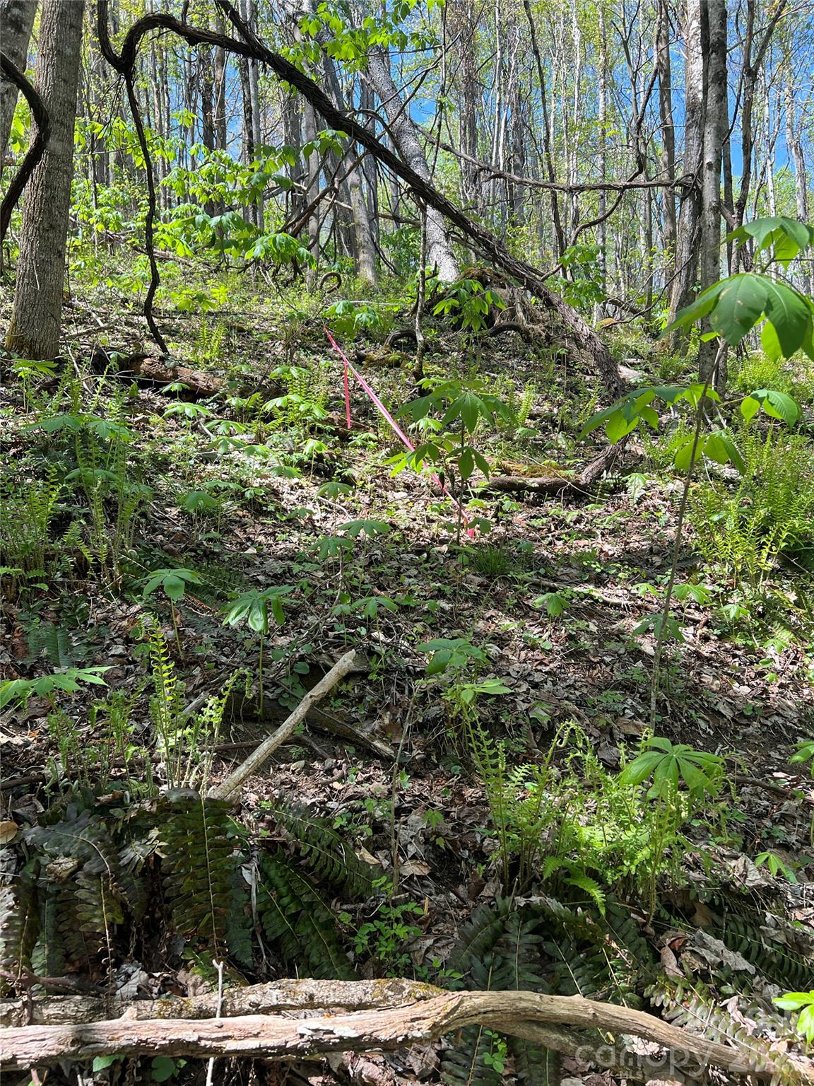 Westerly Hills - Land