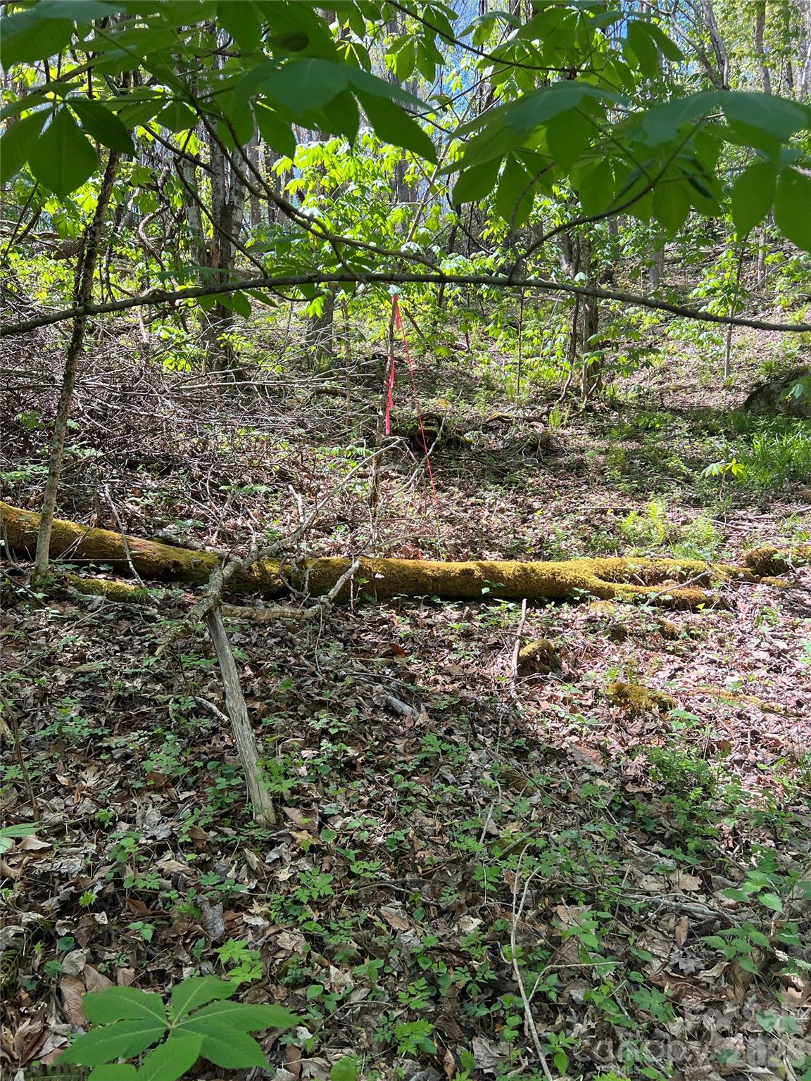 Westerly Hills - Land