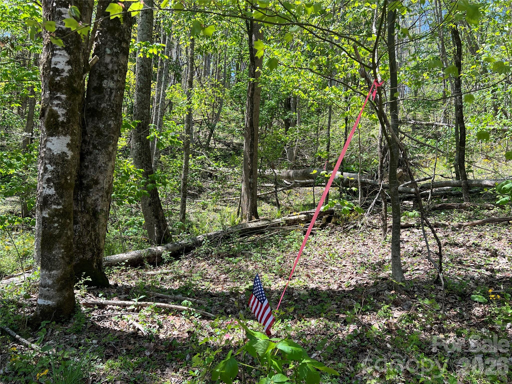 Lot# 34 Buckeye Creek Road 34