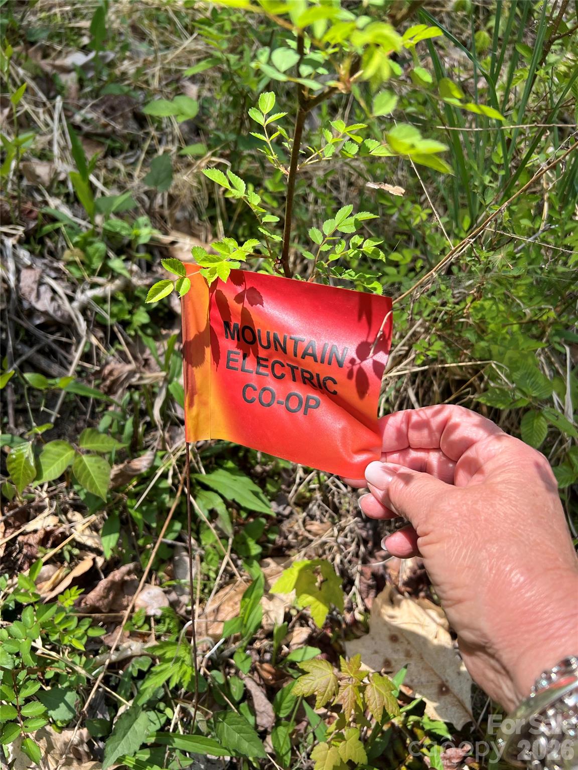 Westerly Hills - Land