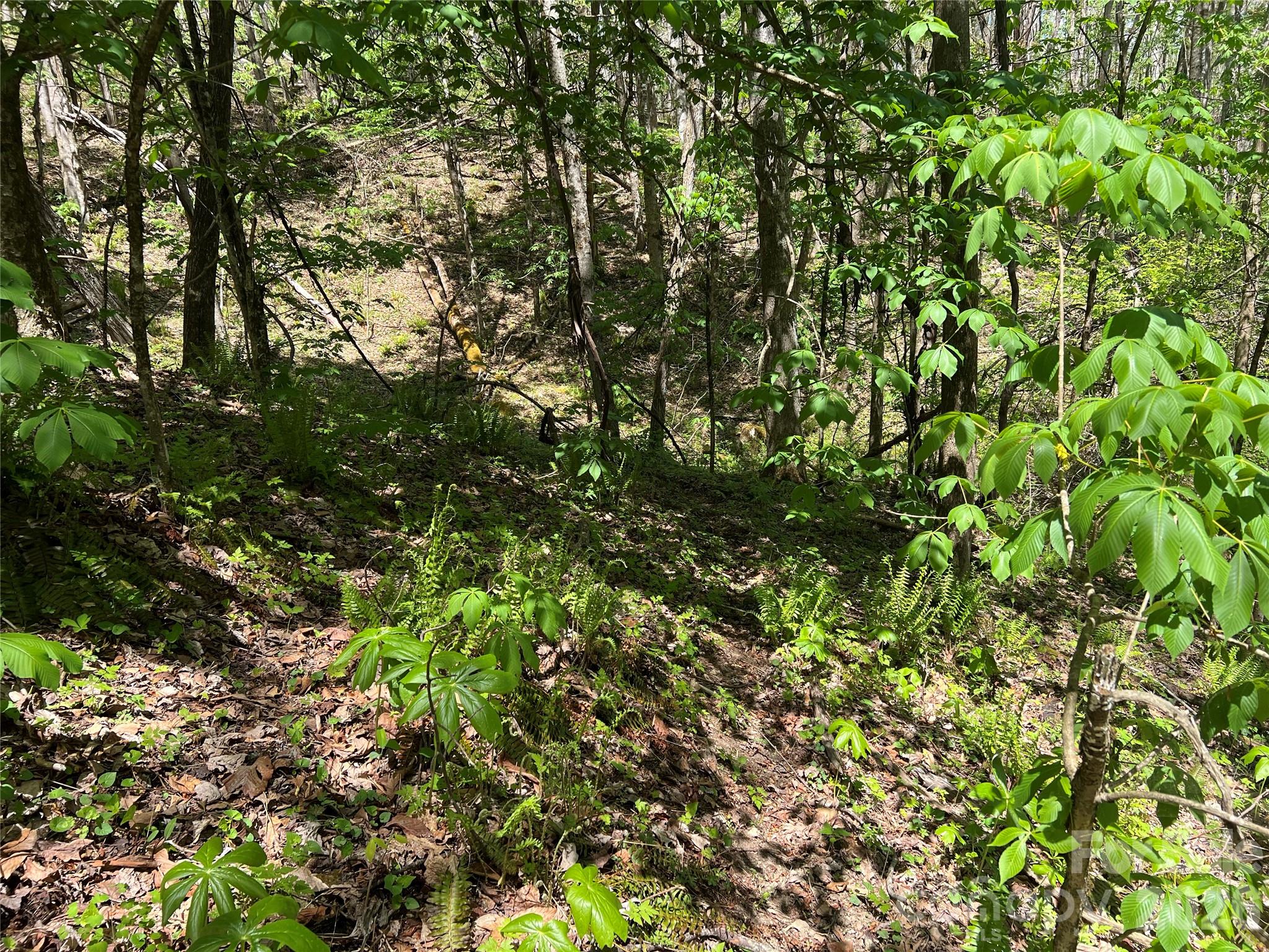 Westerly Hills - Land