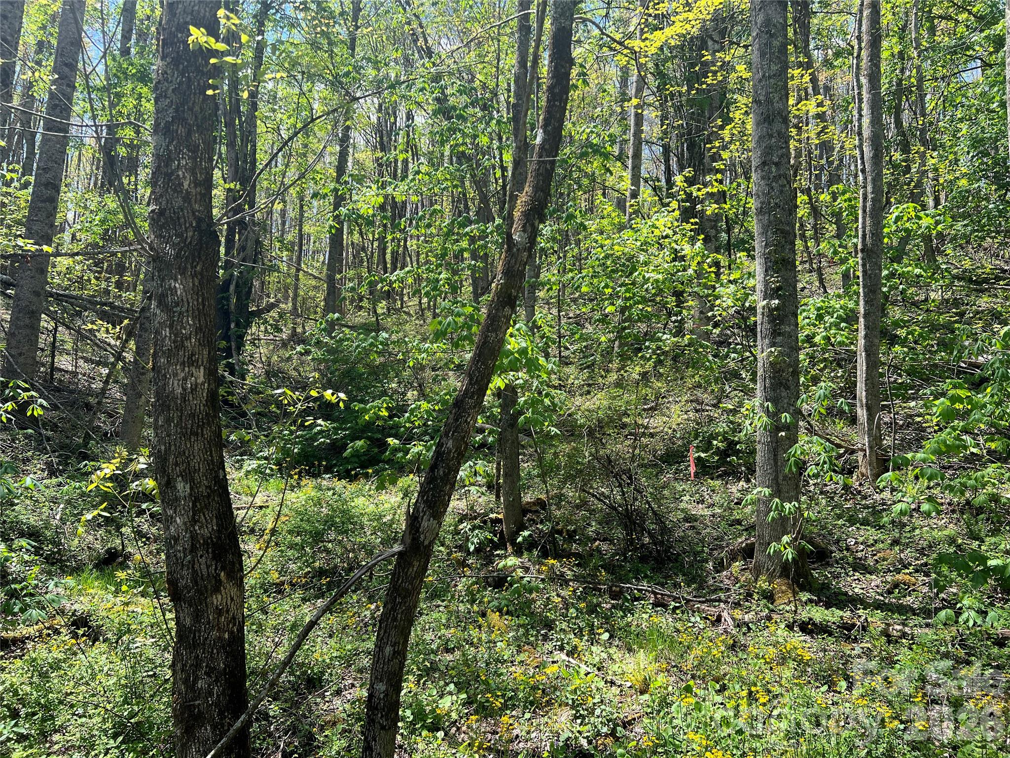 Lot# 34 Buckeye Creek Road 34