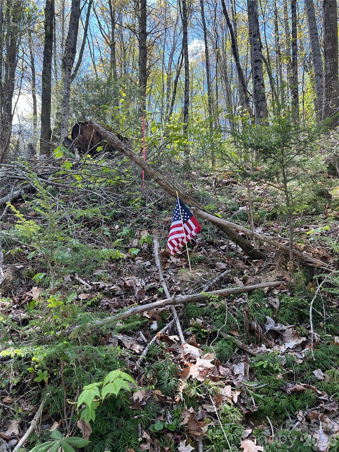 Westerly Hills - Land