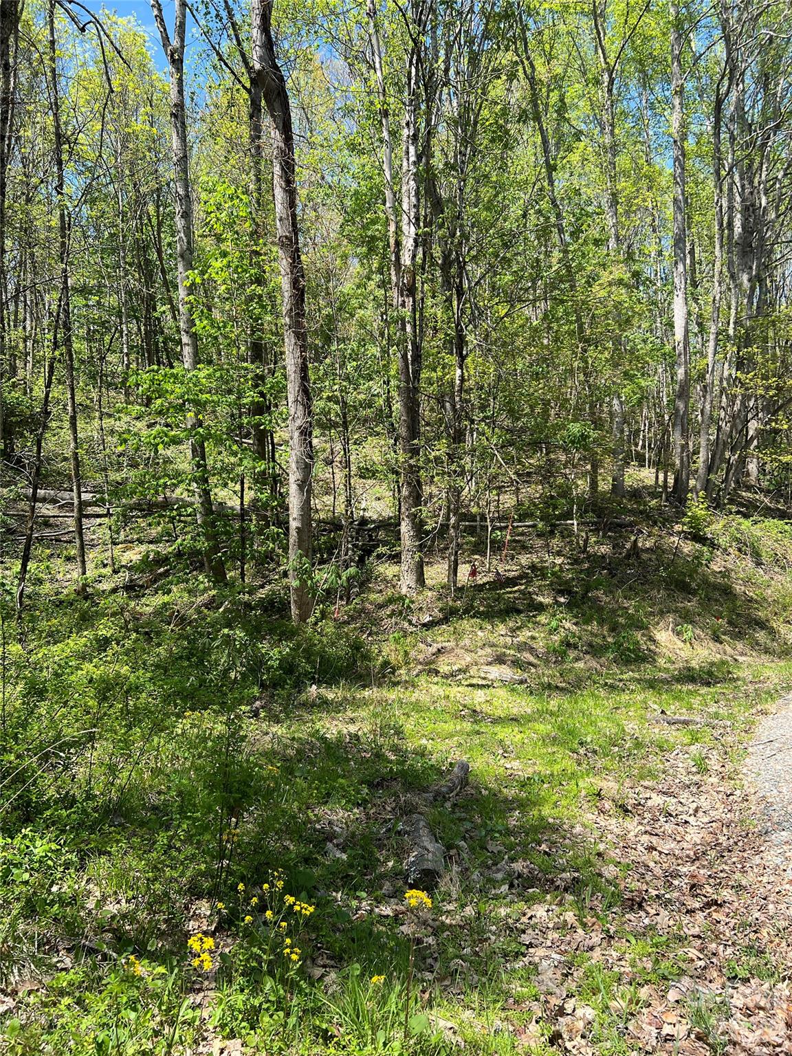 Westerly Hills - Land