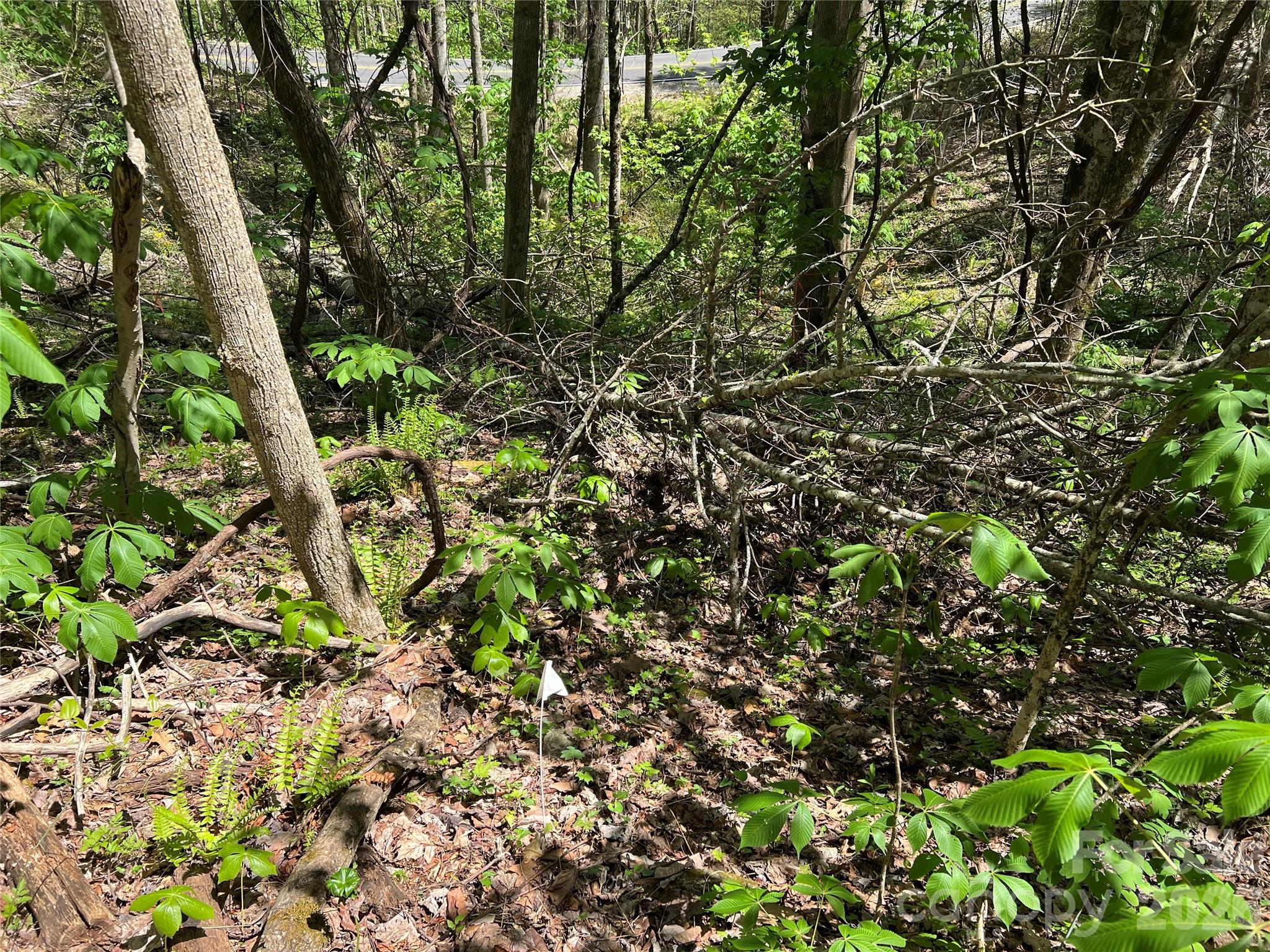 Westerly Hills - Land