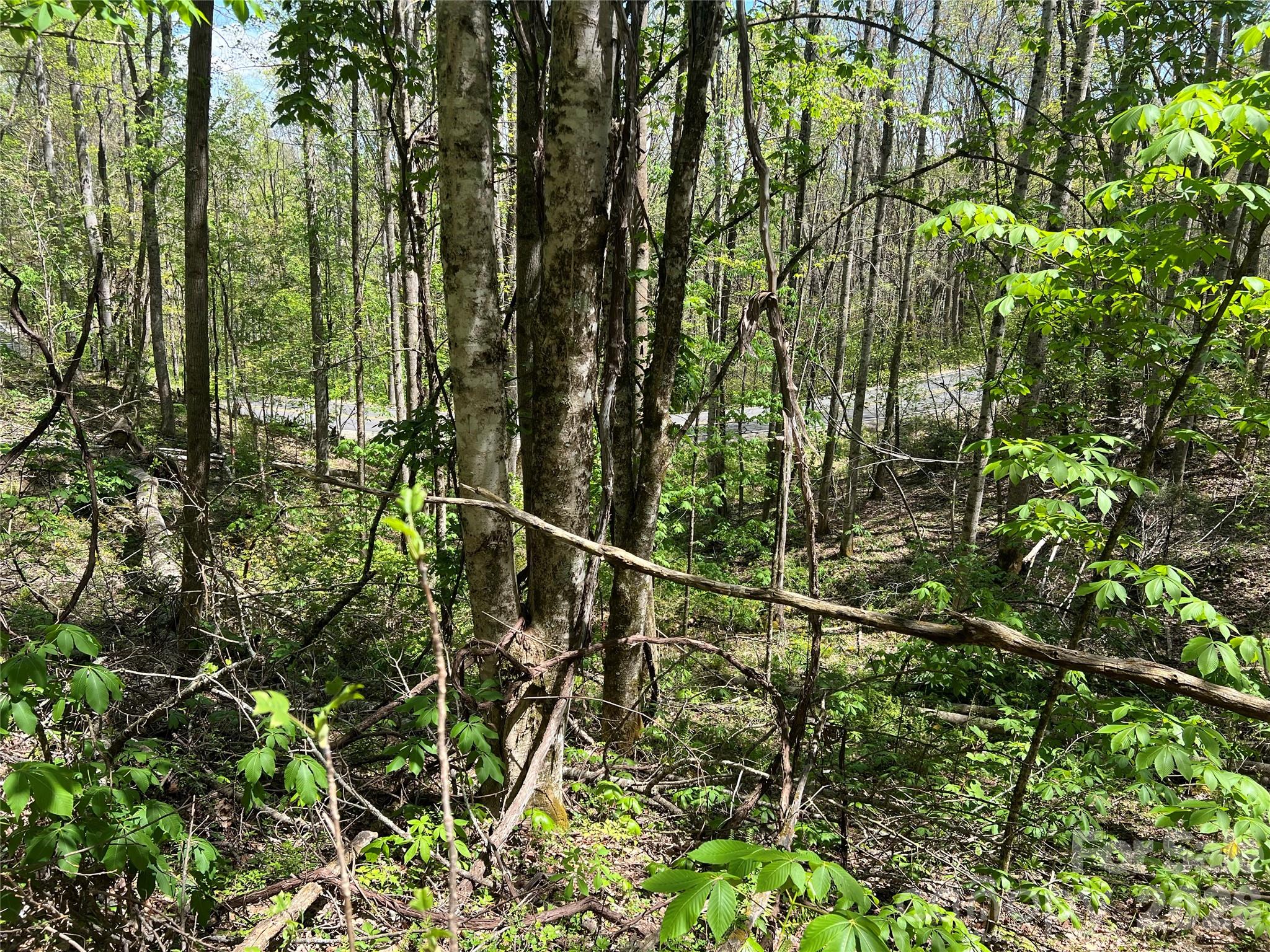 Westerly Hills - Land