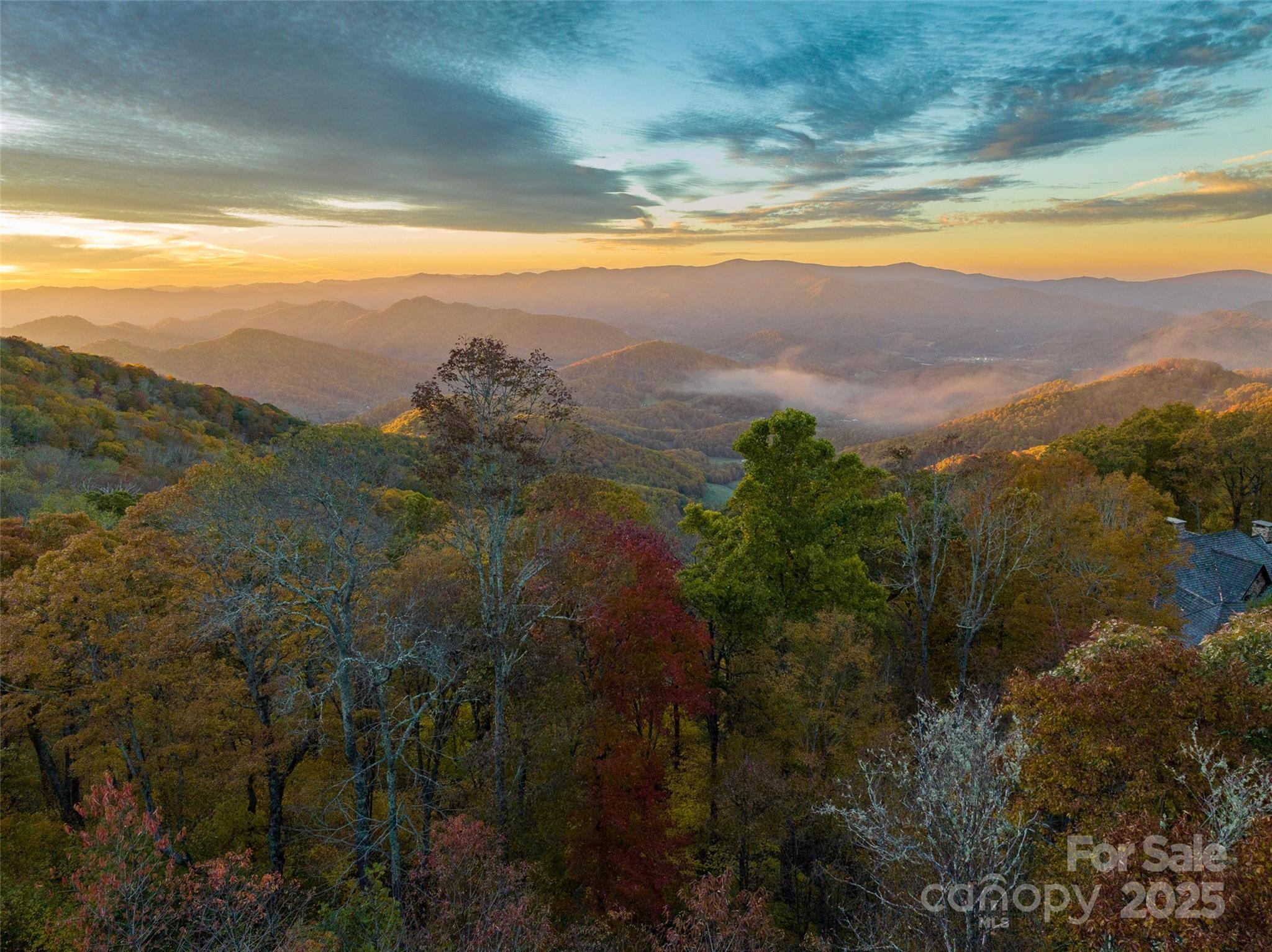 616 Old Growth Forest Road