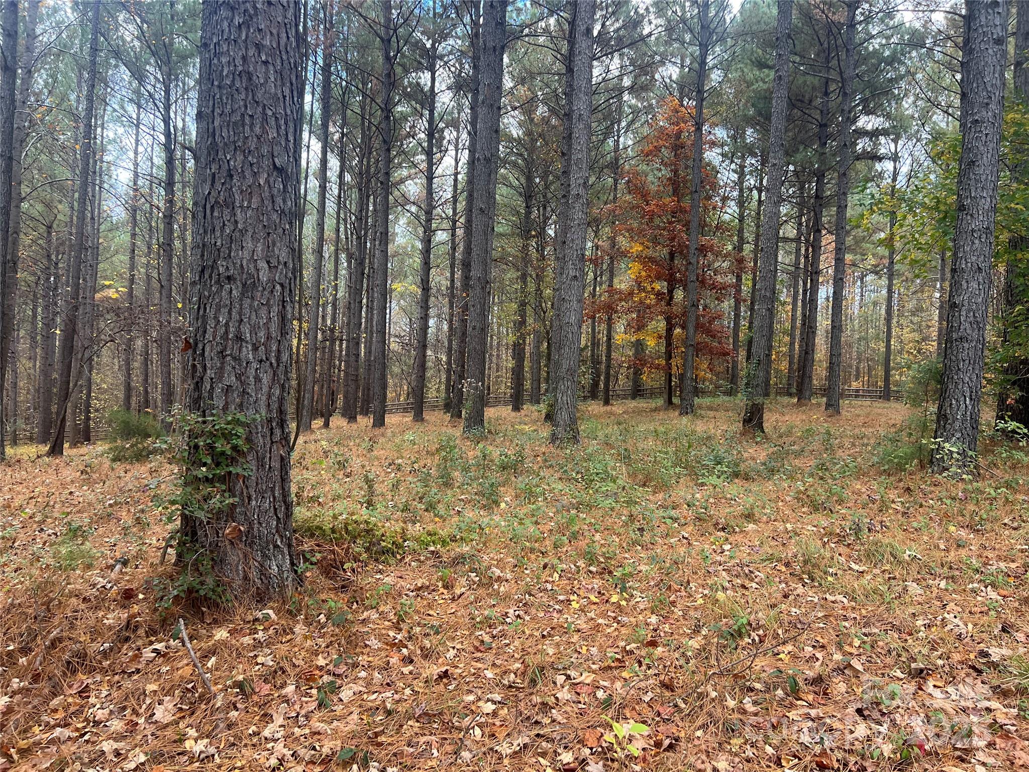 6416 Fawn Crest Drive