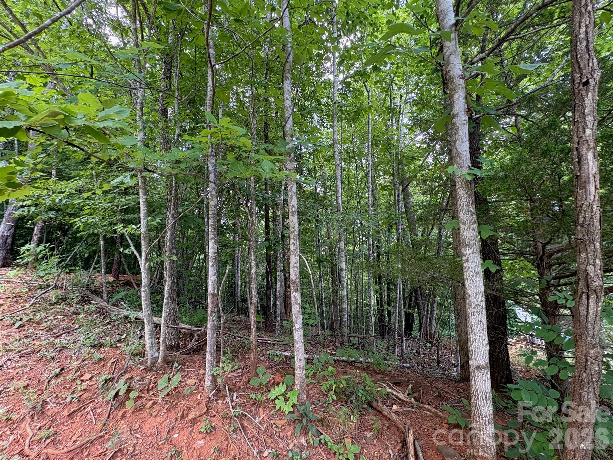 289 Champange Ridge