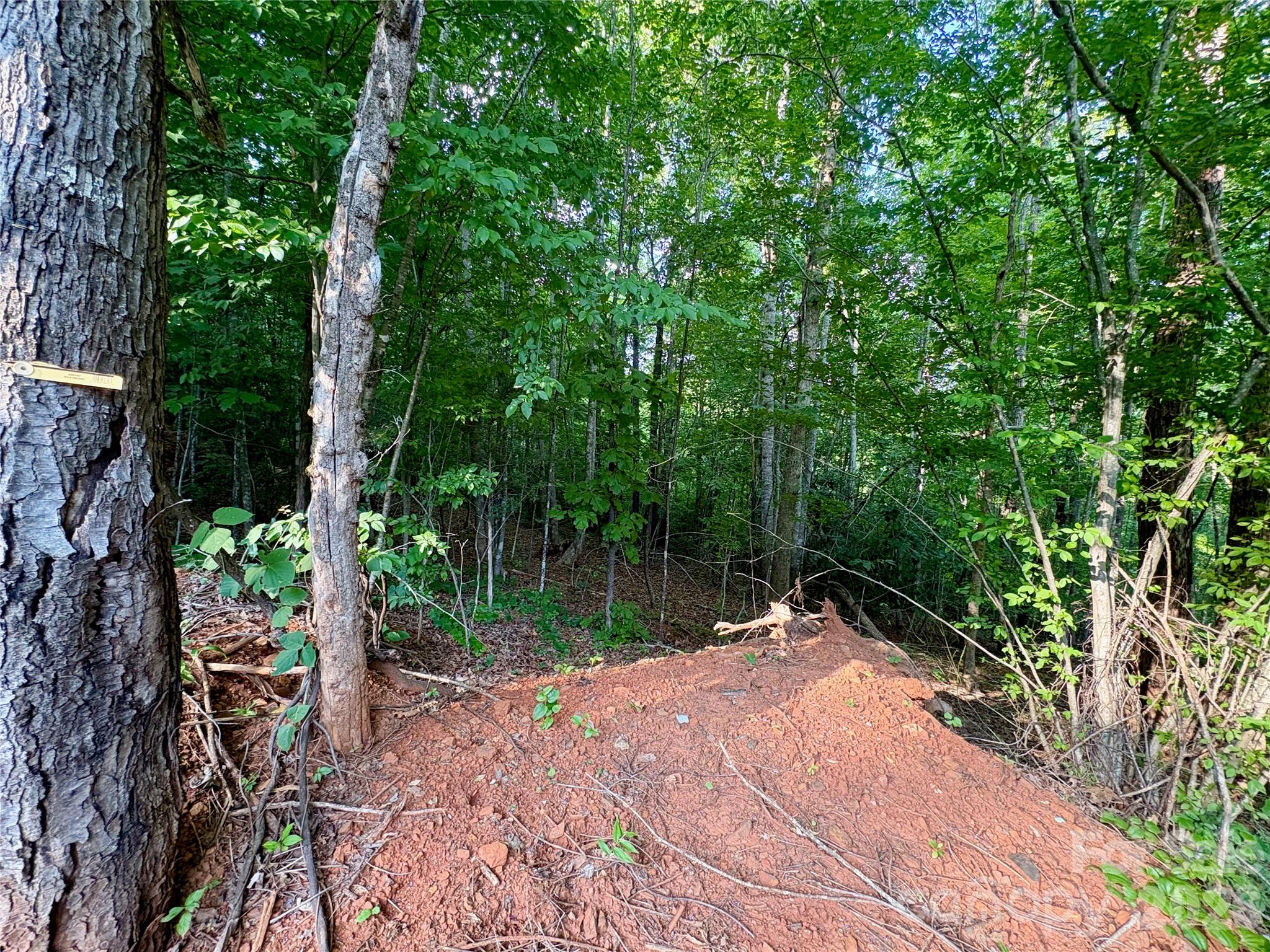 289 Champange Ridge