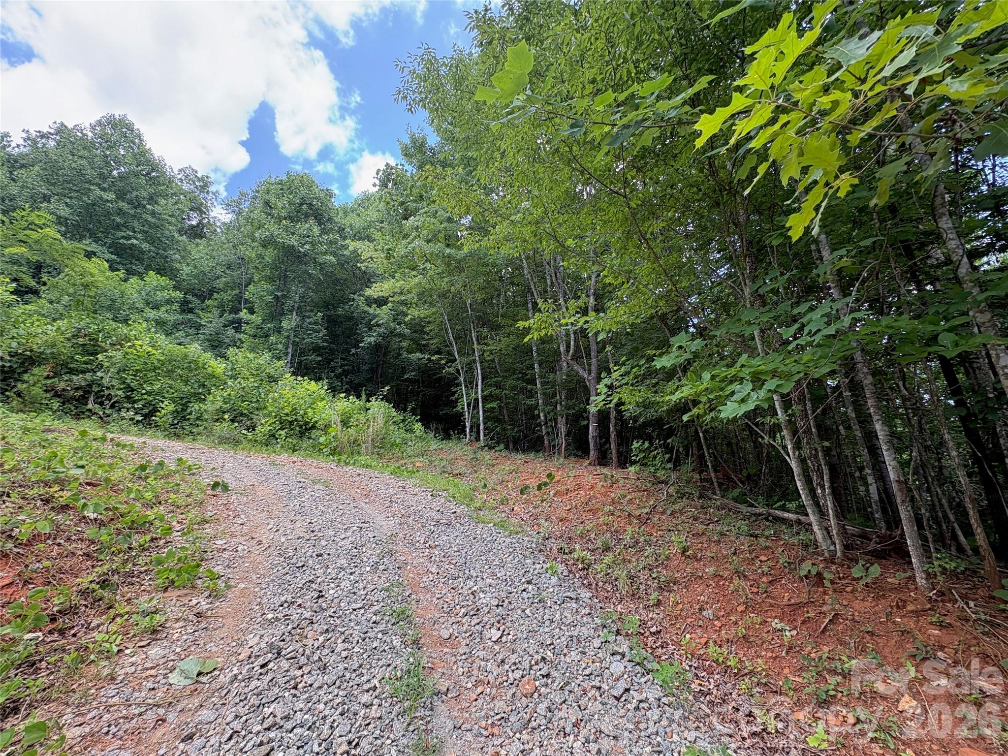289 Champange Ridge