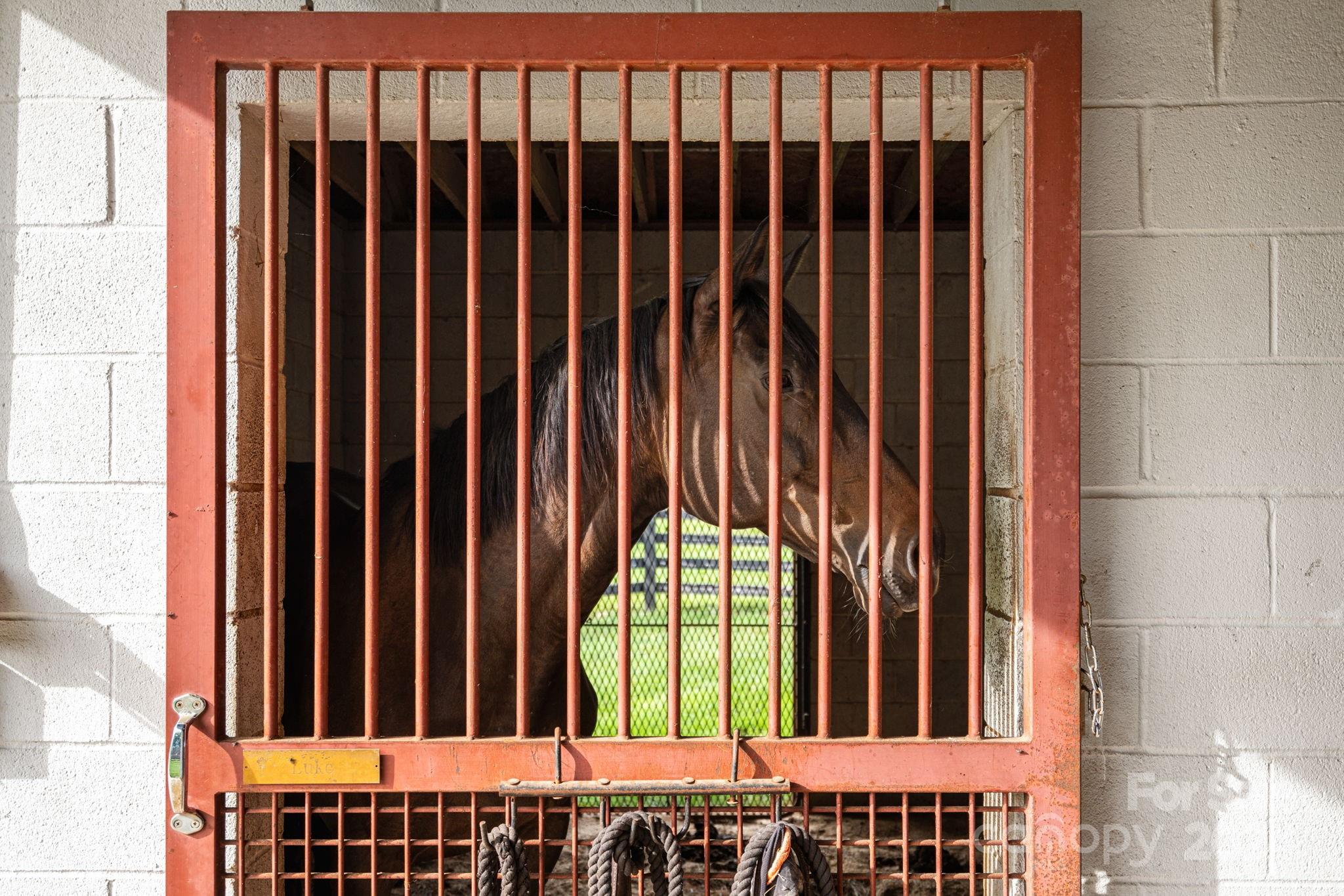 Blackberry Hills - Residential
