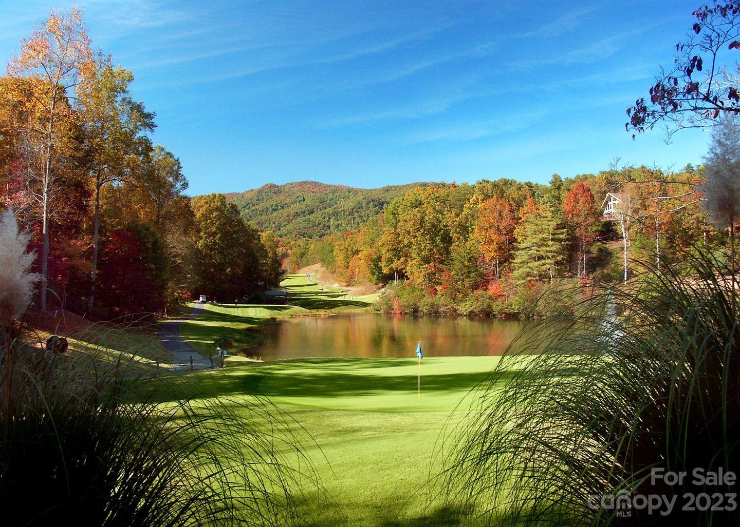 Rumbling Bald on Lake Lure - Land
