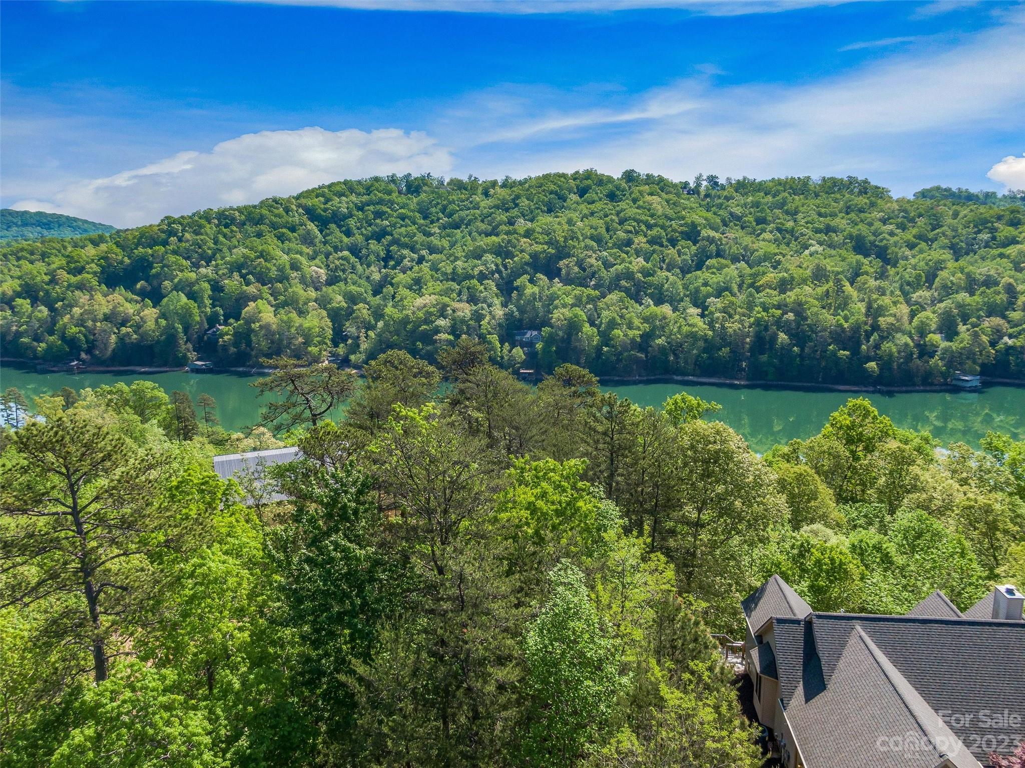 Rumbling Bald on Lake Lure - Land