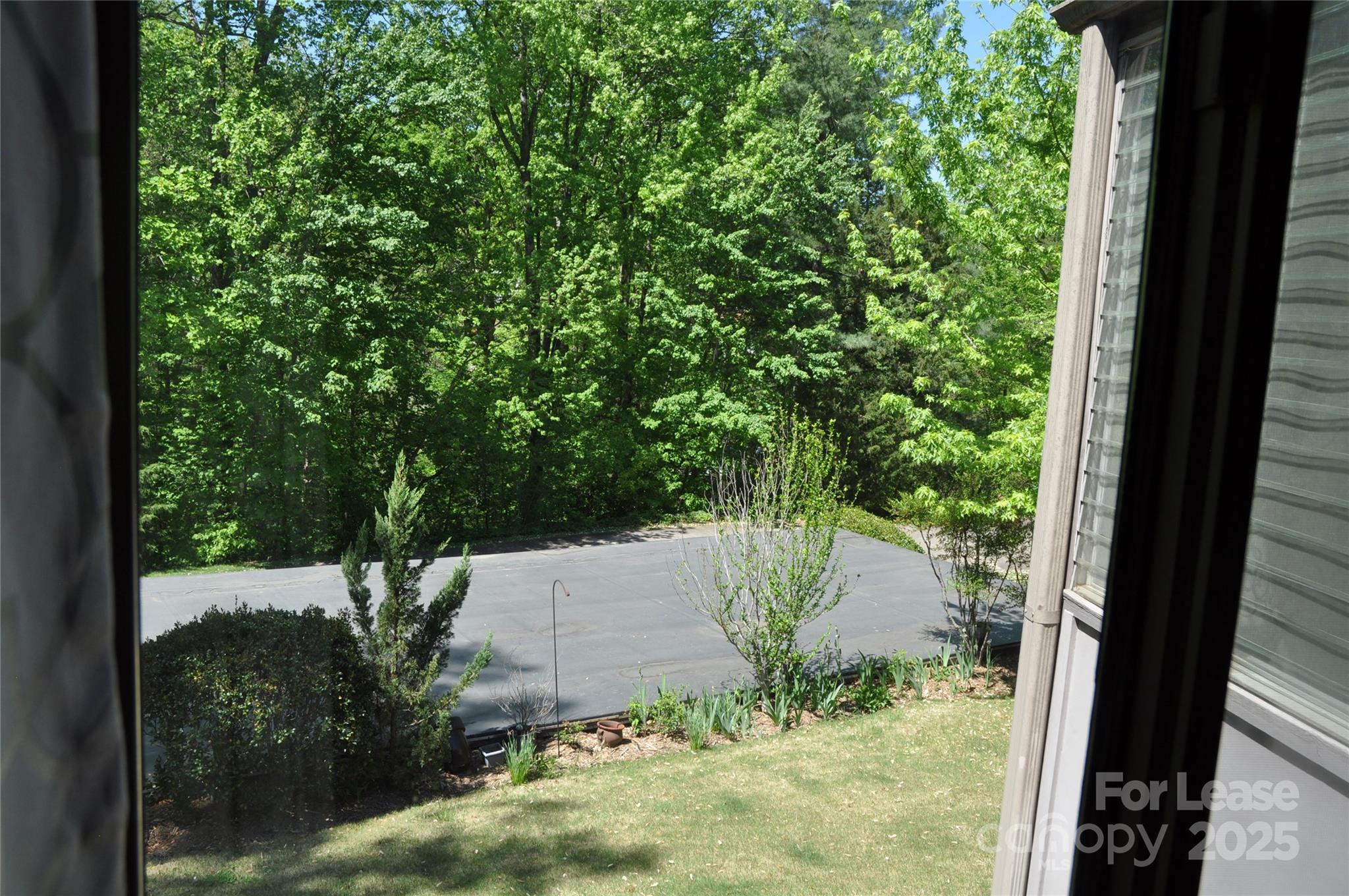 Belvedere - Residential Lease