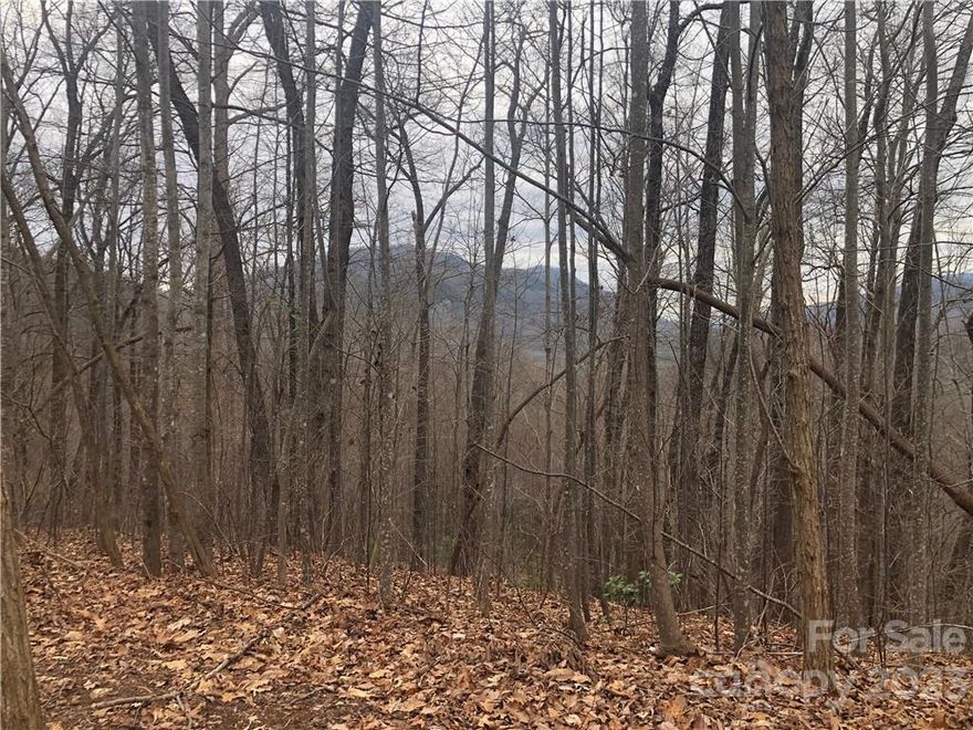 Build your dream home with Long Range Mountain views.  the gated community of Cedar Creek Mountain is located just north of Lake Lure and Chimney Rock.  With golf courses, hiking, fishing all just minutes away.  This 3 acres lot offers the opportunity to be tucked away in nature but only a short drive to all amenities. AT&T fiber optic in place.