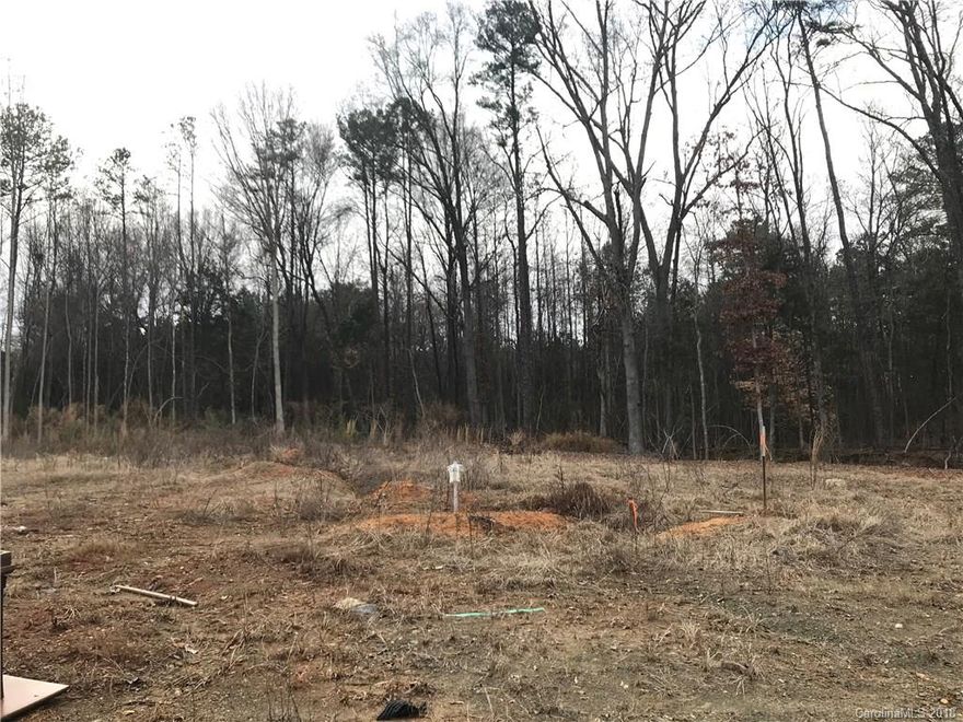 Flat lot flanked with trees on one side and in the rear.  Perfect to build your dream home. Private quiet road.  Septic system in place ready for you to bring your dreams to build here.