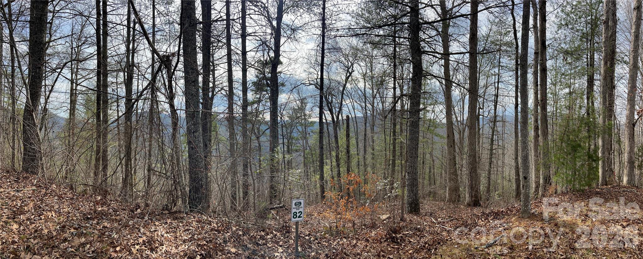 232 Thorncliff Road 82