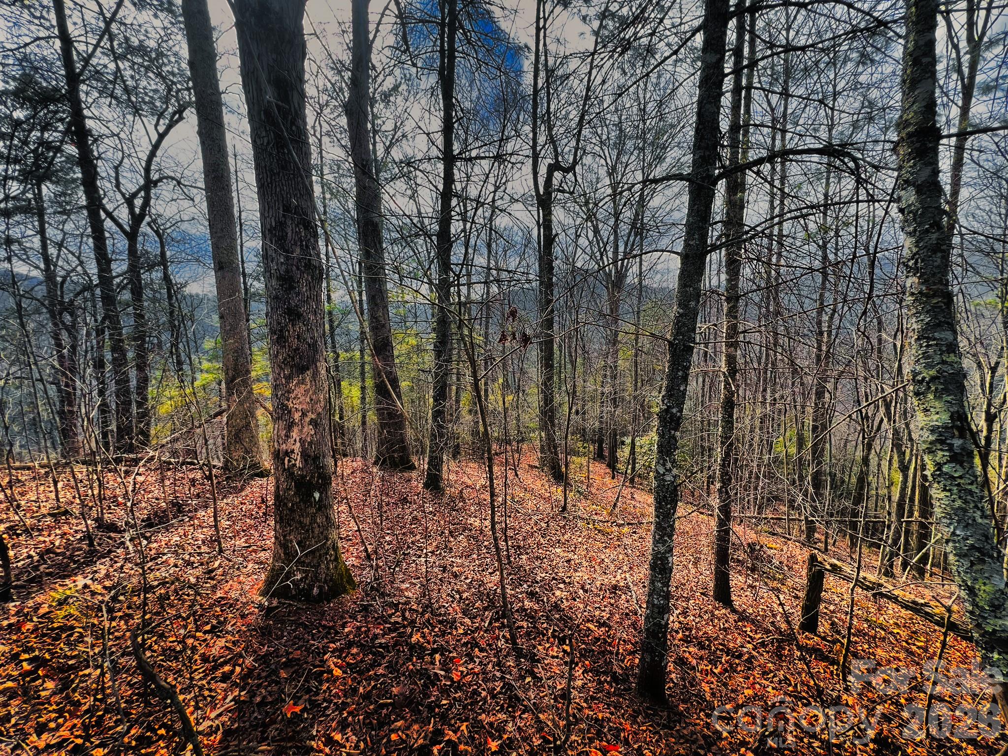 232 Thorncliff Road 82