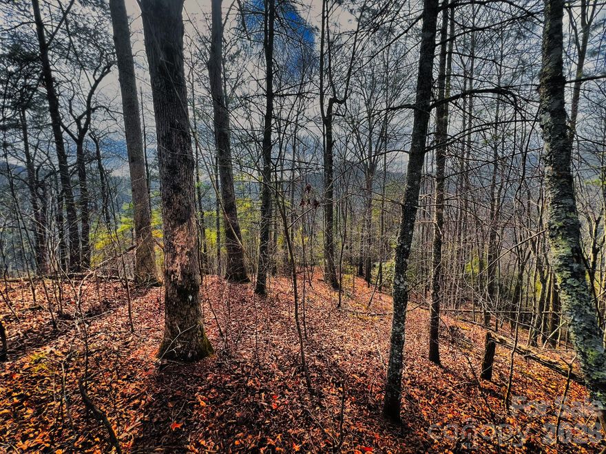 Escape to Your Mountain Oasis at Bear River Lodge - Homesite #82Experience the ultimate sanctuary of privacy and natural beauty on Homesite #82 at Bear River Lodge. Nestled along a picturesque ridgeline, this premier lot boasts breathtaking southeast-facing mountain views, setting the perfect stage for your dream getaway. Just a stone's throw away, Big Laurel Creek—a renowned trout stream—provides over a mile of exclusive river access for fishing, wading, and serene afternoons by the water. Surrounded by the lush forests of Madison County, this gated community feels like a hidden gem, yet is conveniently located just 5 miles from Hot Springs and a scenic 45-minute drive to Asheville.With fiber optic internet, well-maintained private roads, and excellent vacation rental potential, this site is not just a place to build; it's an invitation to embrace a vibrant mountain lifestyle. Don’t miss your chance to secure a slice of one of Western North Carolina’s best-kept secrets!