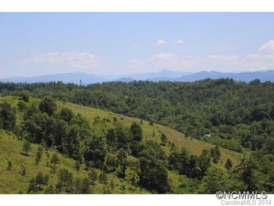 Stunning 360 degree views with level building sites! Most of property is bordered by state land and currently used for pasture and hay fields. This property would make a great private estate or family retreat. Great access with paved frontage. Feels very private, but not too far out. Restrictions to include no mobile homes. Acreage is MOL 27.8, a portion of pin # is being sold. Neighbor is purchasing apprx 1.5 acres. Amazing views!!