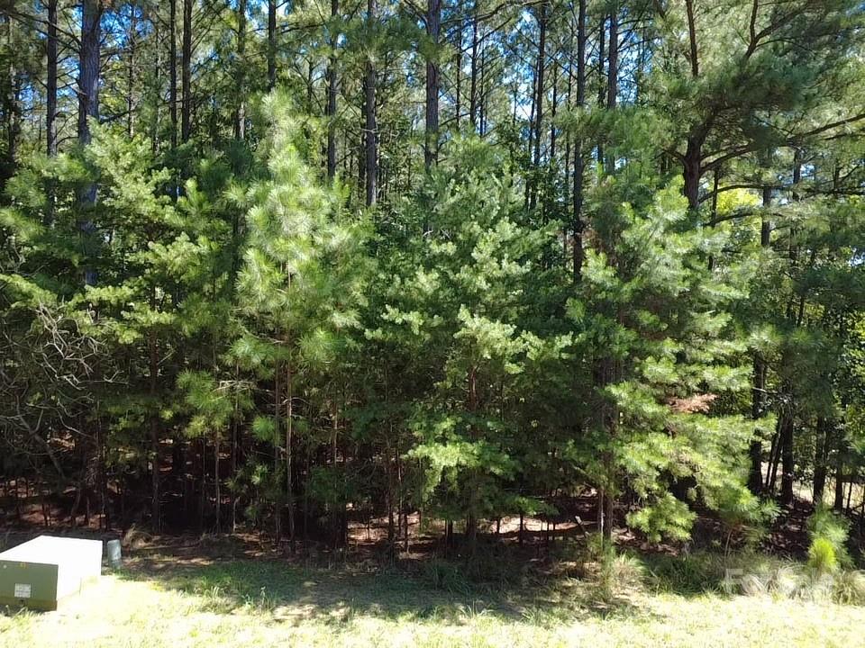 Reflection Pointe - Land