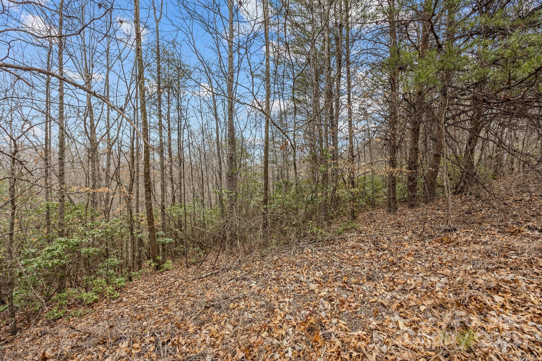 Lot 106 Glenhaven Drive