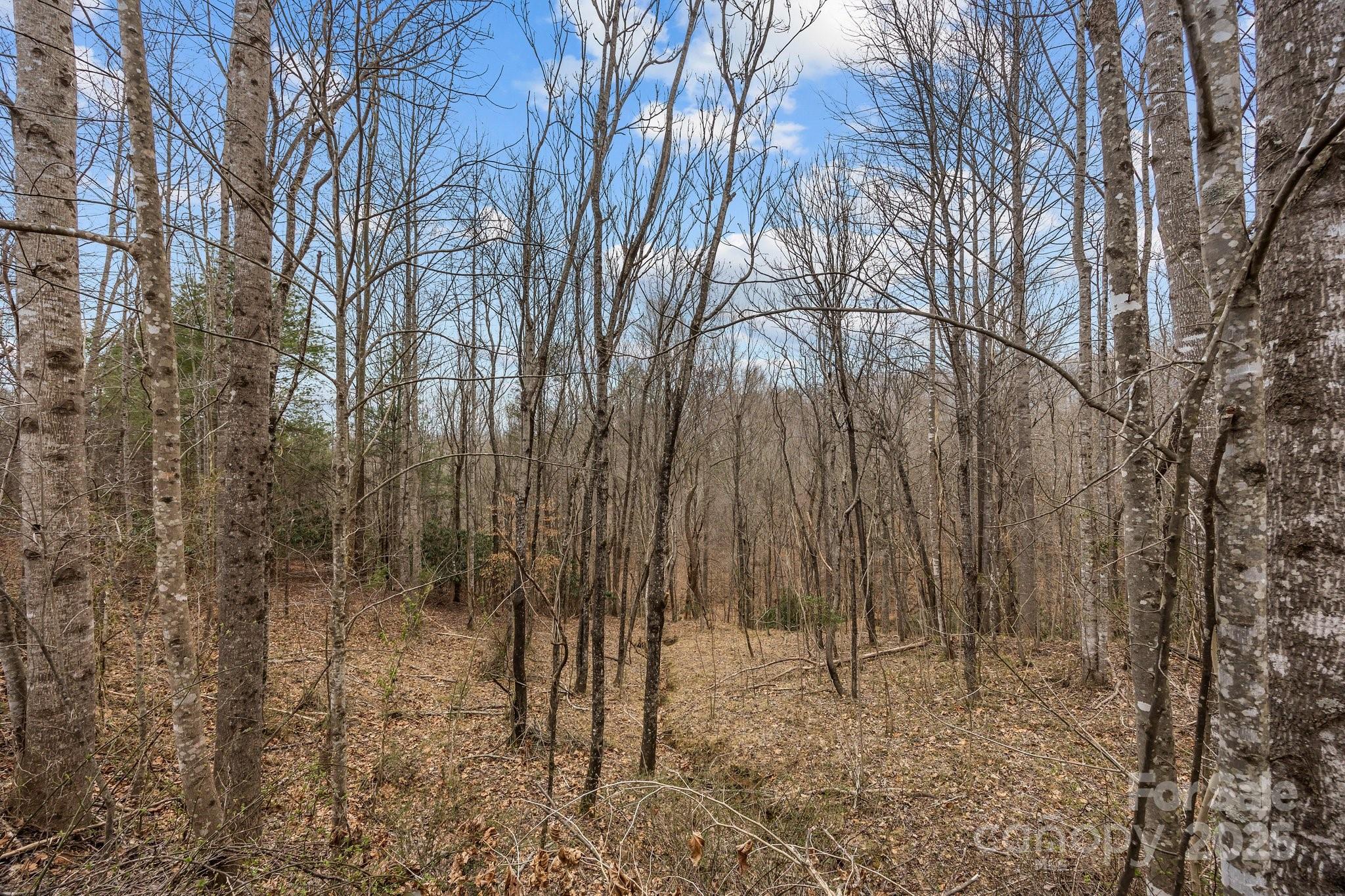 Lot 106 Glenhaven Drive