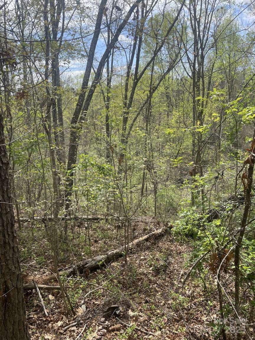 157 Richmond Ridge Road