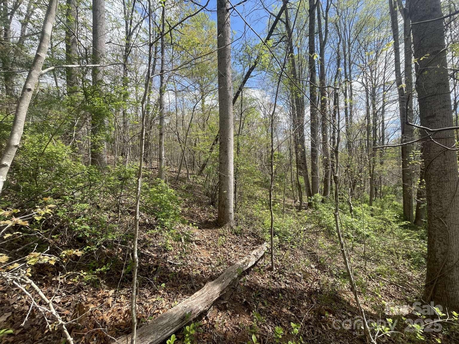 157 Richmond Ridge Road
