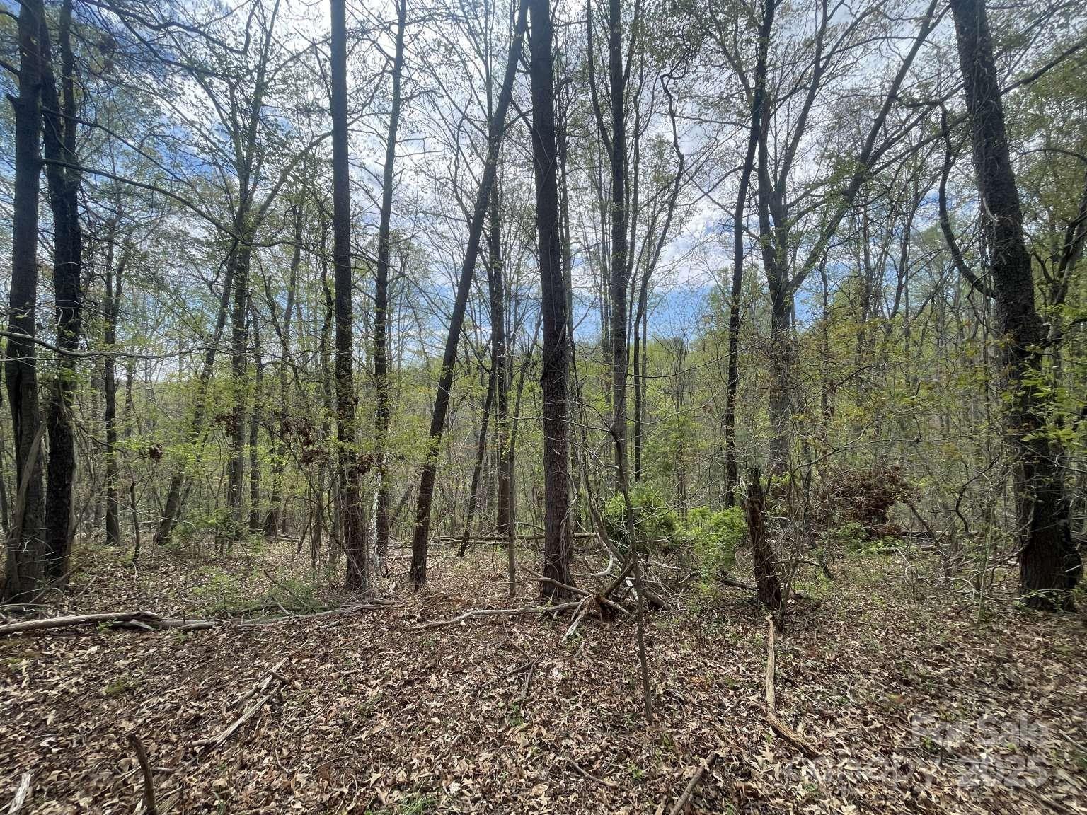 157 Richmond Ridge Road
