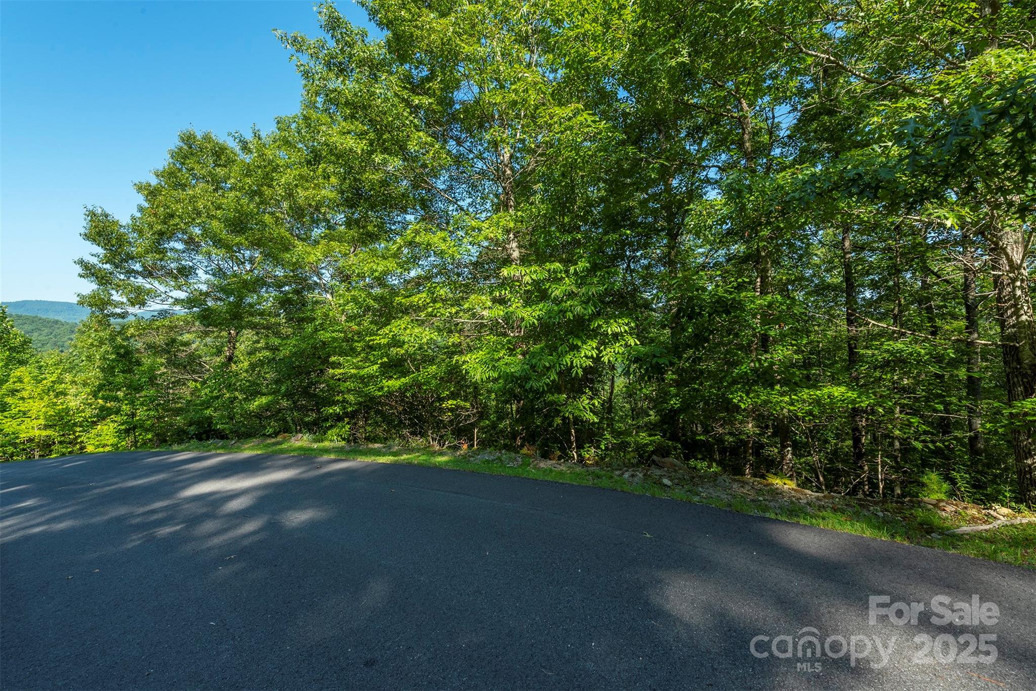 230 White Rapid Road