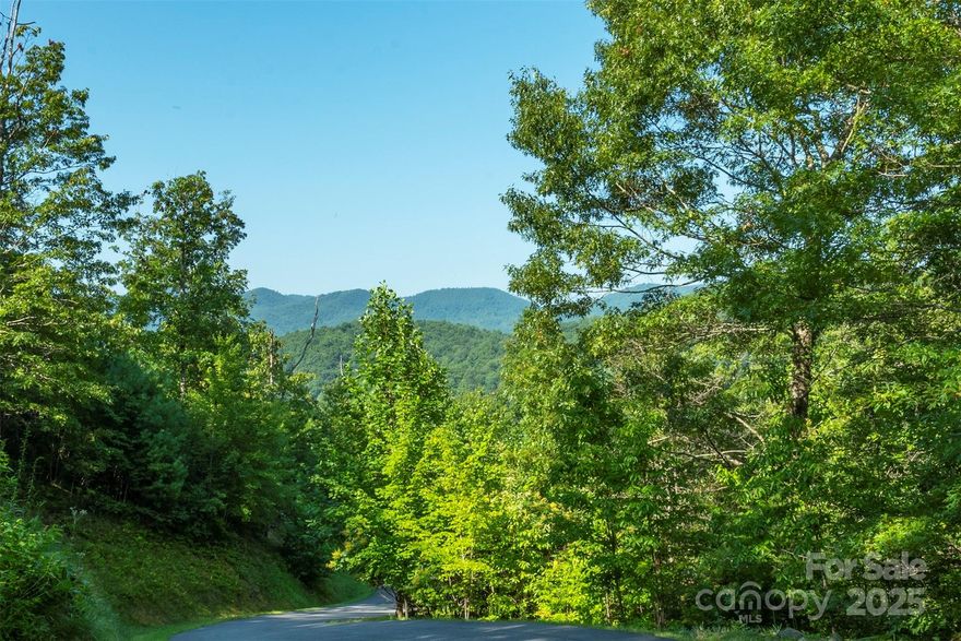 This parcel offers a rare opportunity to create a private retreat in a scenic, riverfront setting. With tranquil views, and the soothing sound of the French Broad River nearby, it’s an ideal location for building a dream home that blends seamlessly with nature—while still enjoying the amenities of a thoughtfully planned mountain community. French Broad Crossing is approximately 30 minutes from Asheville and is a high end community. It features a river lodge, wellness center/pool, riverfront family park/pavilion, tree house gathering space and extensive UTV/hiking trails.