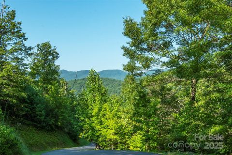 230 White Rapid Road Marshall NC 28753