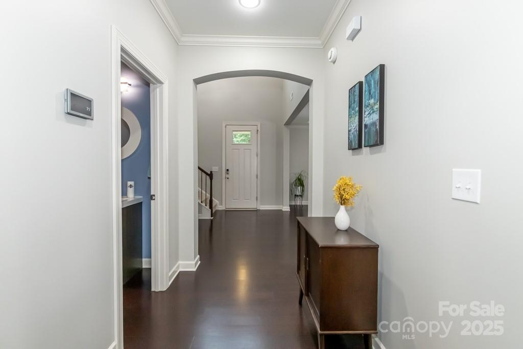 Palm Tree Cove II - Residential