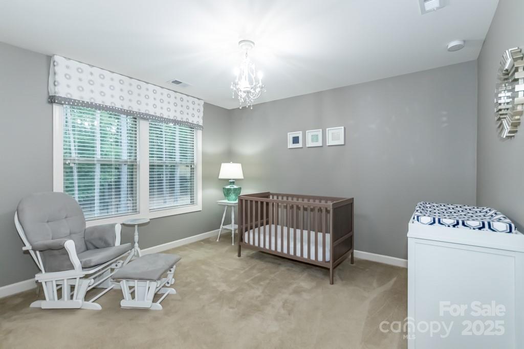 Palm Tree Cove II - Residential