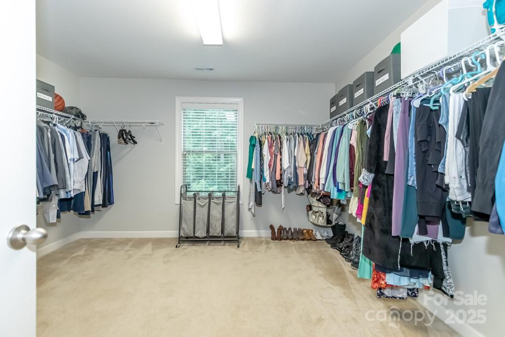 Palm Tree Cove II - Residential