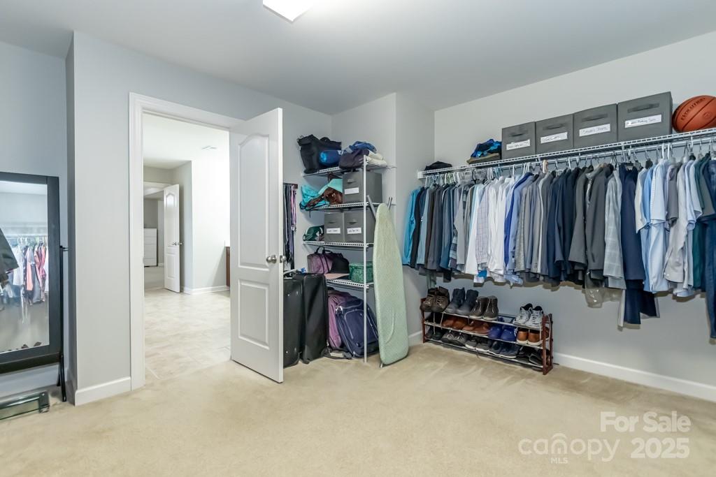 Palm Tree Cove II - Residential