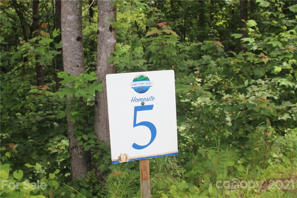 Island Pointe at Lake Vistas - Land