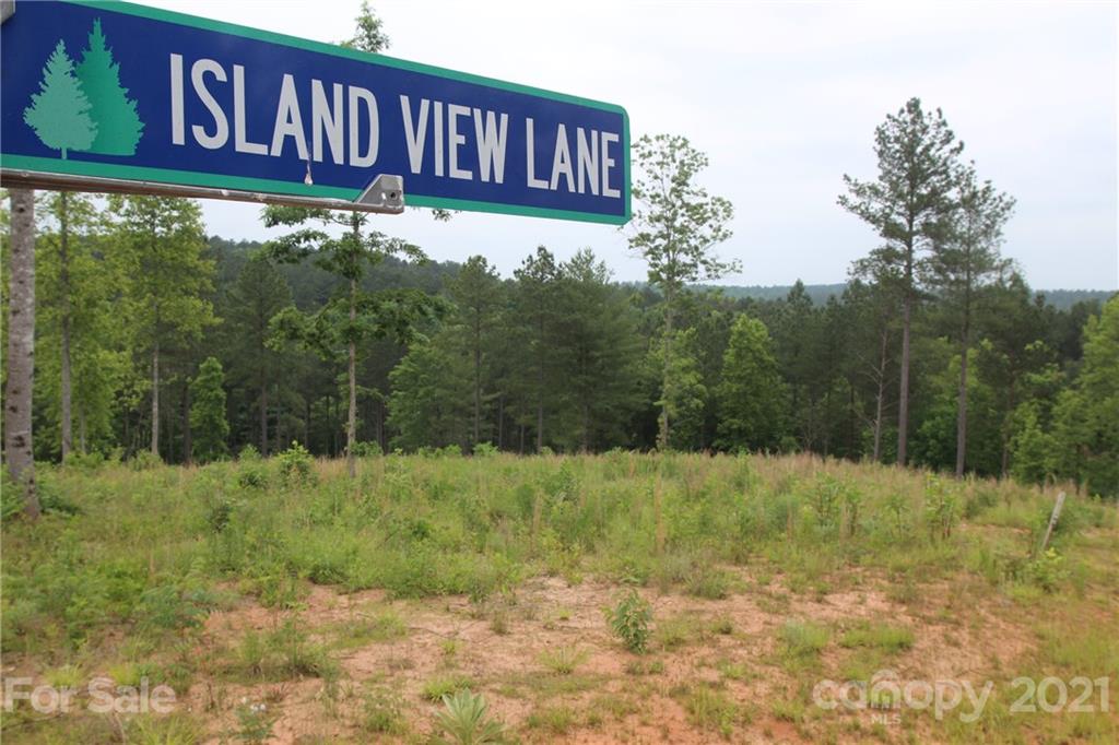 Island Pointe at Lake Vistas - Land
