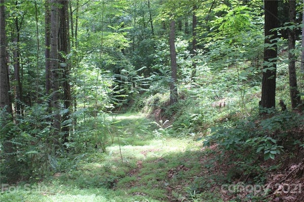 2202 ISLAND VIEW LN # 5, CONNELLY SPRINGS, NC 28612 - Image cfcfa39045e0bb361b274b15b5d32ee2/3565022512