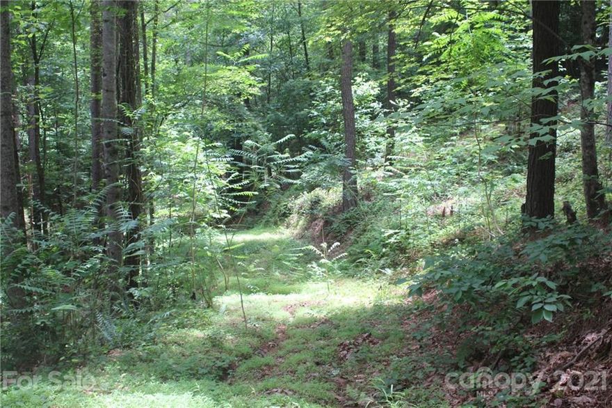 Your dream home will fit right into this private wooded lot.  Only 1400 square foot minimum to build. Gated community.  Underground power (Duke Energy).   Install your own well (your very own fresh unadulturated drinking water!).  Lake Rhodhiss is a pristine lake located in the foothills of the Blue Ridge Mountains in Western North Carolina. The lake is popular for its water clarity and accessibility to areas like Hickory, Charlotte, Asheville, Winston-Salem and the lovely mountains in Boone. Lake Rhodhiss NC is a popular place to enjoy swimming, boating, water skiing, and fishing. In fact, there are many fishing tournaments held on the lake, as it is home to a variety of different species of fish.